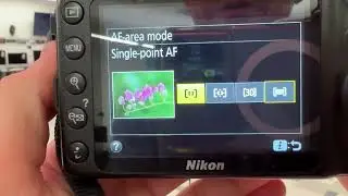 AF Area Mode