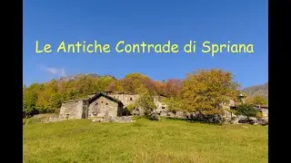 ANTICHE CONTRADE SPRIANA