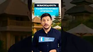 Есть такая профессия, годовые отчеты помогать сдавать🫡 #bali #бизнес #legal #indonesia
