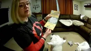 February 2017 BarkBox Unboxing