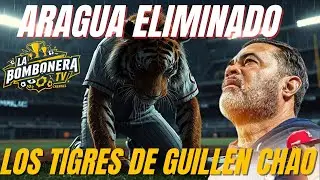 FIN DEL RUGIDO: LOS TIGRES DE ARAGUA SE DESPLOMAN Y QUEDAN ELIMINADOS EN LA TEMPORADA 2025 🐯💔🔥