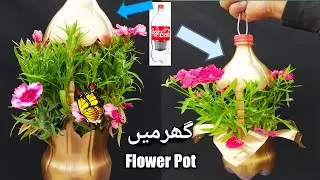 Recycle Plastic Bottles into Beautiful Hanging Flower Pots For Your Garden | Asan Gardening |