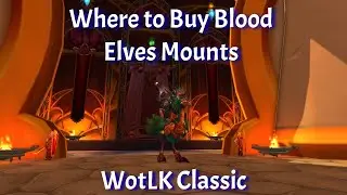 Where to Buy Blood Elves Mounts--Silvermoon City Reputation Guide--WotLK Classic
