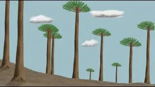 The Earth's First Forests