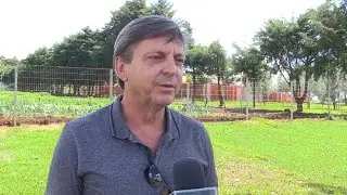 Agricultor tem d&uacute;vidas sobre o manejo do pain&ccedil;o. O AgroFAG responde