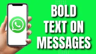 How To Bold Text on WhatsApp Messages (Easily 2023)
