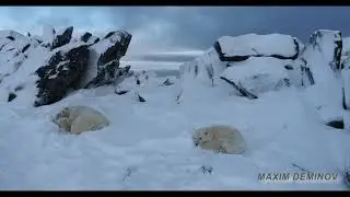 Немножко позитива )))