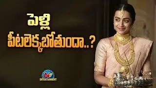 Is Trisha going to get married ? | Box office || @NTVENT