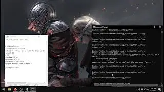 variable types in programming w/python