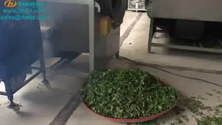 How to use Wood heating green tea leaf fixation machine revolving drying machine
