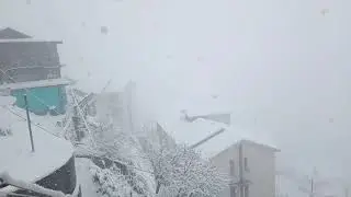 Snowfall in Shimla 2020