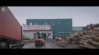 Oakdepot Stock China 5
