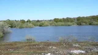 bough beech reservoir