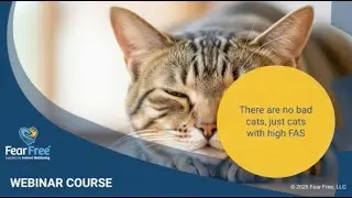 There Are No Bad Cats, Just Cats With High FAS