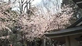 Tokyo Saturday 13th