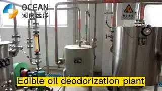 Edible oil deodorization plant | Palm Oil Production Plant