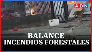 El balance en medio de los brutales incendios forestales en Chile