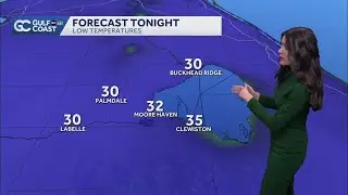 Freeze warnings for the Gulf Coast Monday night and Tuesday morning