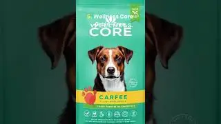 Top Dog Food Brands for Your Pet's Health 2024-25
