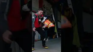 Search and Rescue Dog Dan - Bloopers!  #cbeebies #kidsshows #dogsquad #preschooltv