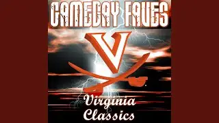 Lets Go Hoos