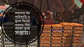 বাংলাদেশের সবচেয়ে বড় ডিমের বাজার | The big egg market in Bangladesh