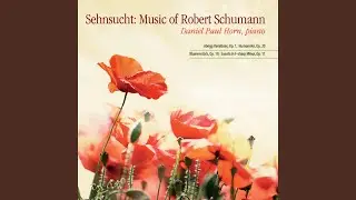 Humoreske, Op. 20: II. Hastig - Nach und nach immer lebhafter und st&auml;rker - Wie vorher