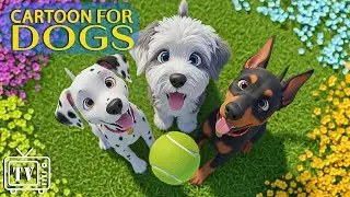 Dog Cartoons for Dogs: Soothe Dog Boredom All Day | Anti-Anxiety for Dogs with Calming Music for Dog