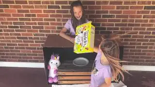 WHAT'S IN THE BOX CHALLENGE!! GROSS SLIME AND OUR CAT ROXIE!