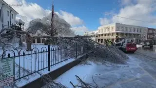 Trees, power lines still encrusted in ice in parts of the south following winter storm