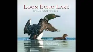 Loon Echo Lake (Bonus Track): 11. Northwood
