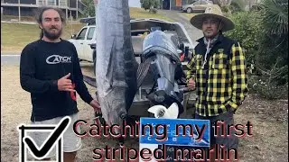 Chasing West Coast stripped marlin (dolphins, gannets and big bait balls)