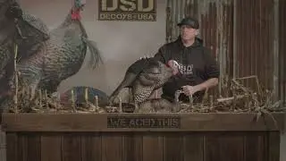 DSD Mating Motion Pair Decoys | Product Highlights