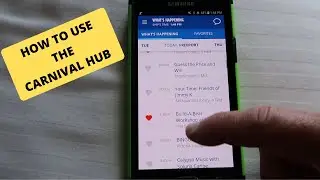 CARNIVAL HUB APP  - Live Demo & Review