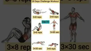28 days full body workout challenge
