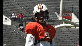 Oregon transfer QB Robbie Ashford: A-Day MVP Highlights