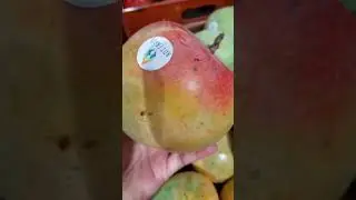 Vietnam Mango#mangoes#asmr#shortsvideo