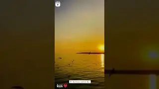 #music🎶 #musicvideostatus 🎼#musiclover 💏 💝whatsappstatusvideo❤😍