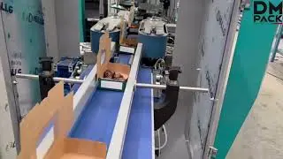 Complete Packaging Line for Date Boxes &ndash; Case Forming, Closing & Top-Load Case Packer