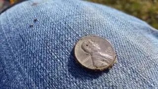 Metal detecting soccer field