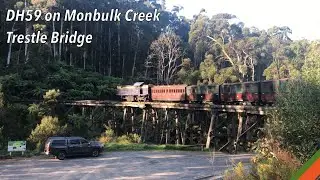 DH class DH59 on Monbulk trestle bridge and emerald  | Puffing Billy railway