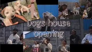 DOGS HOUSE OPENING ( with my classmates)