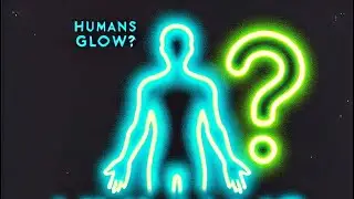 The Unbelievable Truth About Human Bioluminescence