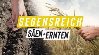 Segensreich s&auml;en und ernten - Wie Gott manchmal Hingabe belohnt