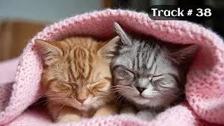 [Sleepy Cats Piano #38] Soft Piano Music for Cat Sleep Therapy