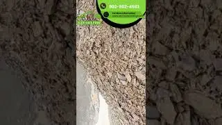 Shale Rock