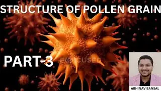 #pollen #pollengrain #pollenallergy #biology #biologyclass12 #cbse12thbiology #cbse #icse #share 