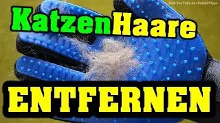 Katzenhaare entfernen Handschuhe + B&uuml;rste TEST