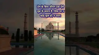 #LoveAndInspiration#TajMahalVibes#RomanticMotivation#EpicVideography#LoveQuotesForever#TajMahalLove