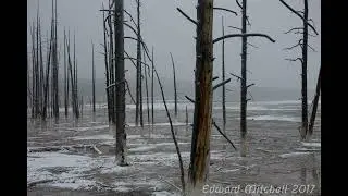 Just Can't Win